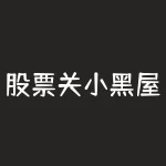 股票关小黑屋什么意思-RB螺纹钢期货交易网
