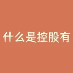 什么是控股有限公司？控股有限公司的运作模式究竟有何特质？-RB螺纹钢期货交易网