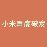 小米再度破发，小米股票破发意味着什么-RB螺纹钢期货交易网