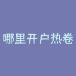 哪里开户热卷期货？选择合适的期货公司-RB螺纹钢期货交易网