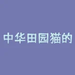 中华田园猫的品种？如何辨别它们的特点？-RB螺纹钢期货交易网