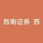 西南证券？西南证券金点子？-RB螺纹钢期货交易网
