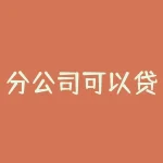 分公司可以贷款吗？你好我看到你百度上一个关于分公司贷款的问题我也是在银行弄贷？-RB螺纹钢期货交易网