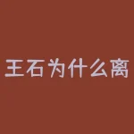 王石为什么离婚？王石结束与田朴珺的10年婚姻，真正的原因究竟是什么？-RB螺纹钢期货交易网