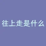 往上走是什么?往上走究竟会发现什么未知的秘密?-RB螺纹钢期货交易网