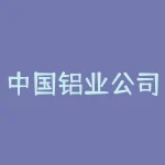中国铝业公司电子采购交易系统:实现高效便捷采购流程-RB螺纹钢期货交易网