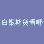 白银期货看哪个指数？如何选取最适合的参考指标？-RB螺纹钢期货交易网
