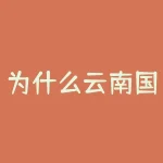 为什么云南国税打不开？急急急 为什么云南国税进不去提示无法通过代理服务器的身份验证-RB螺纹钢期货交易网