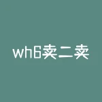 wh6卖二卖五，如果不是疑问词，如何在关键词前或后面添加词语生成用户感兴趣的长尾疑问句？wh6卖二卖五，这类产品在实际应用中有哪些常见问题需要特别注意？-RB螺纹钢期货交易网