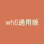 wh6通用版下载安装教程有哪些步骤？wh6通用版下载后如何进行系统配置？-RB螺纹钢期货交易网