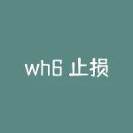 wh6 止损价如何设置才能有效控制风险？wh6 止损价设置后如何跟踪止损效果？-RB螺纹钢期货交易网